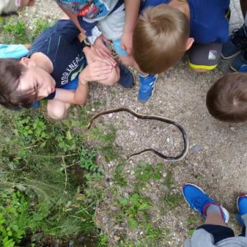 IMG_20200619_182645_0