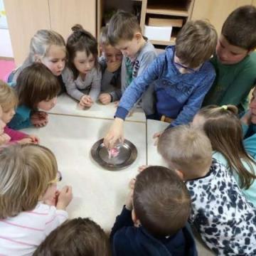 85152230_545713872964834_8087955968542900224_n