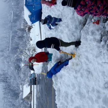 20210106_101013_800x600_0