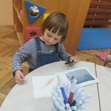 IMG_20220124_092726_0