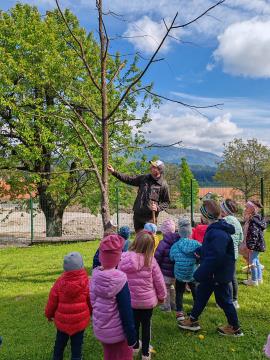 IMG_20240422_103638