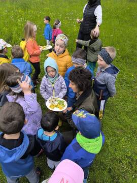 5bd535c4fe1447850c5e6fdfa35f4266