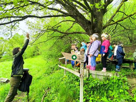 7ee8bd3820054471964466fe63550704