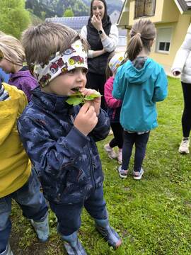 d29daf474fef971c95713c5fc1f2d30c